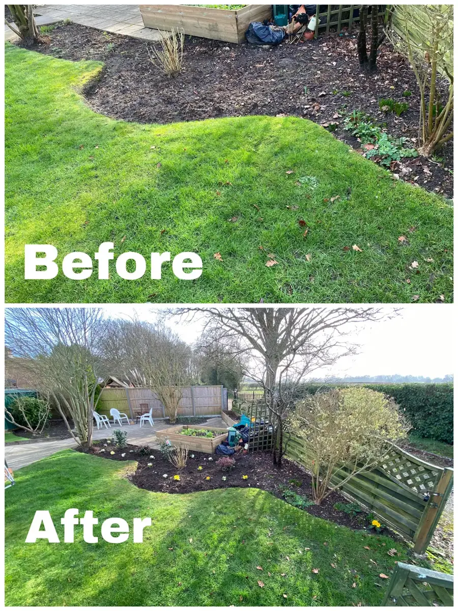 Before and after of a weeded garden border replanted with new shrubs