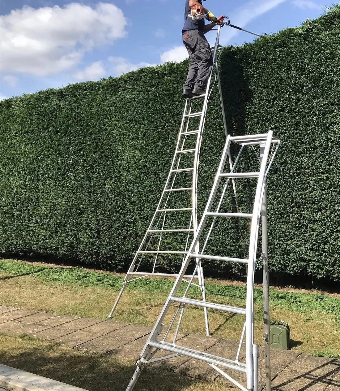 Imre trimming a tall conifer hedge from a tripod ladder