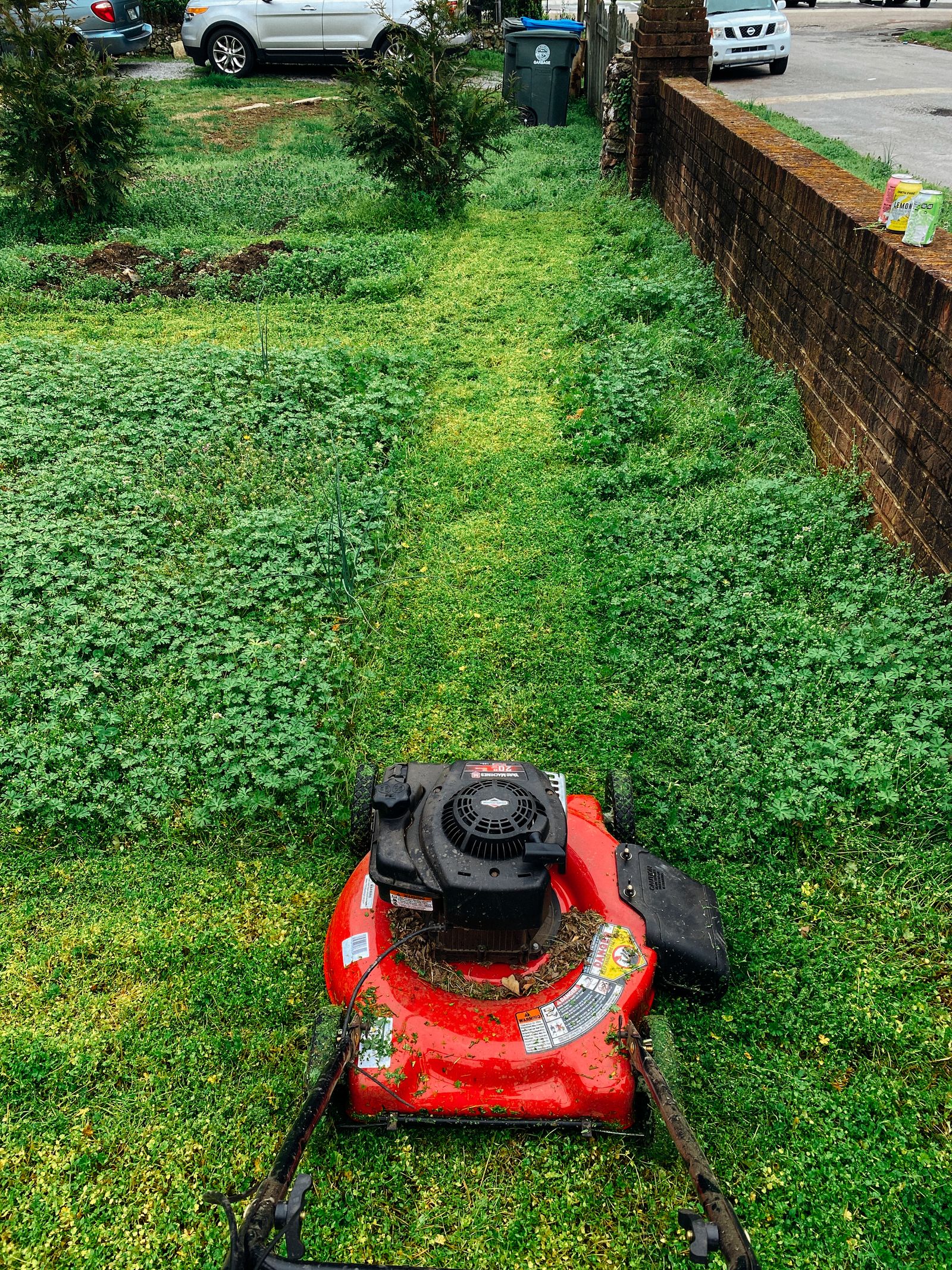 Lawn being mown with crisp edges around a garden path