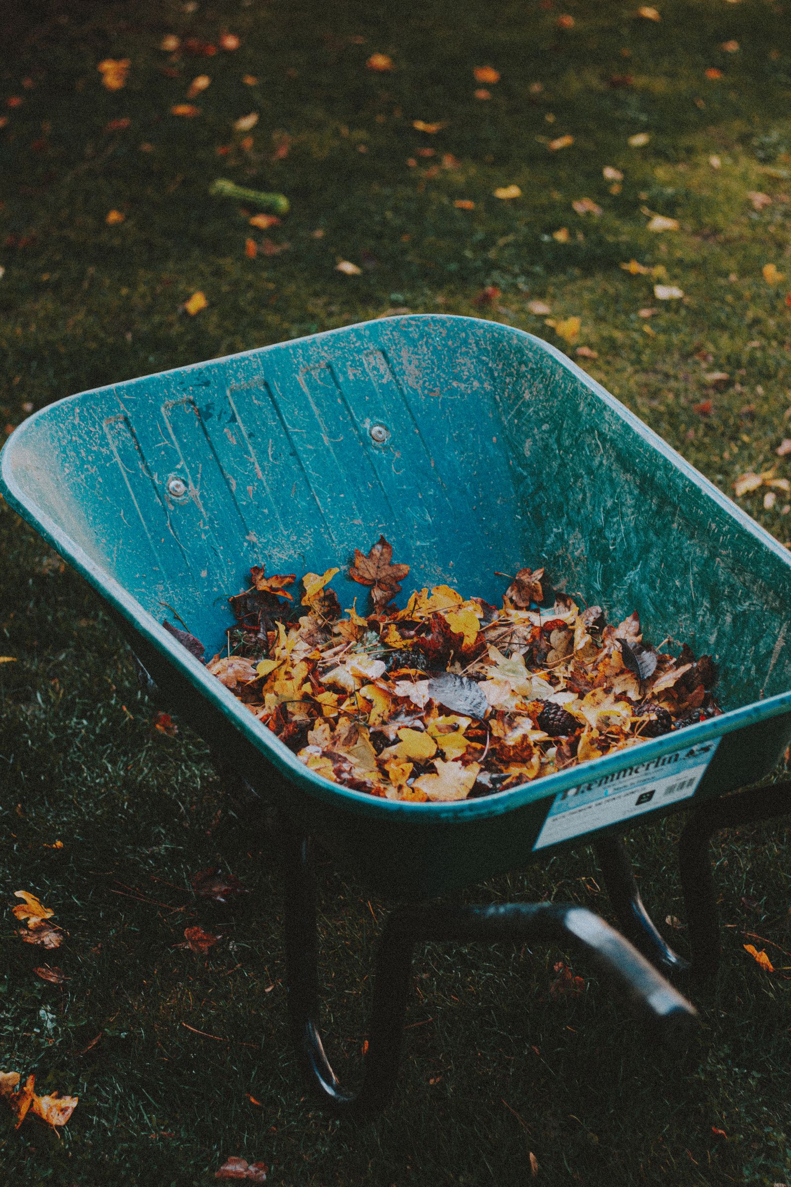Fallen leaves and storm debris being cleared from a lawn and driveway