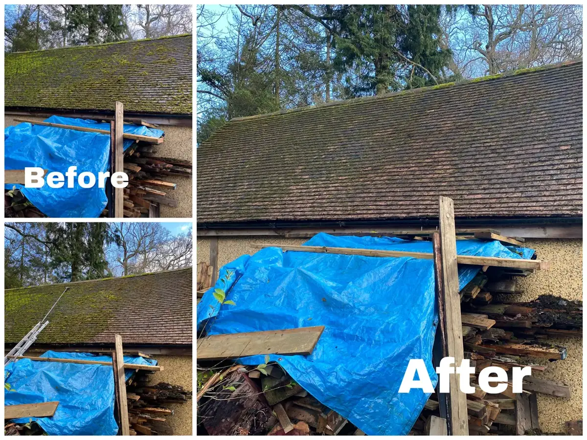 Before and after moss removal on a clay-tiled roof