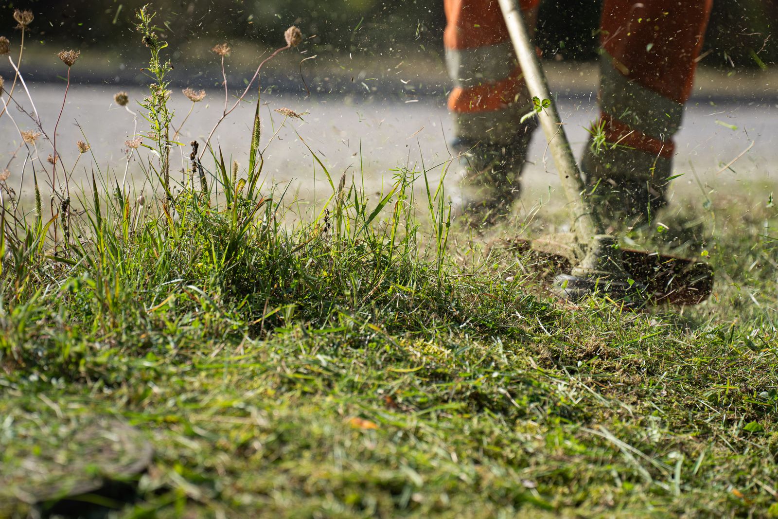 Gardener strimming the edge of a lawn during a maintenance visit